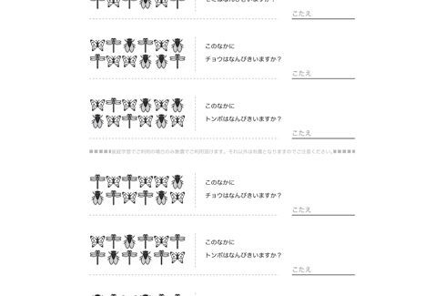 イラストを使った問題で、視覚的な数的感覚を養います。問題や対象物を間違いなく読み取れるよう、基本的な学力を向上させます。