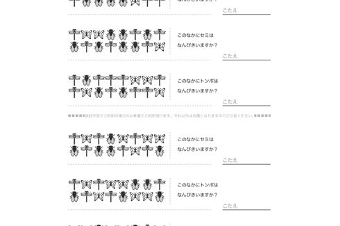 イラストを使った問題で、視覚的な数的感覚を養います。問題や対象物を間違いなく読み取れるよう、基本的な学力を向上させます。