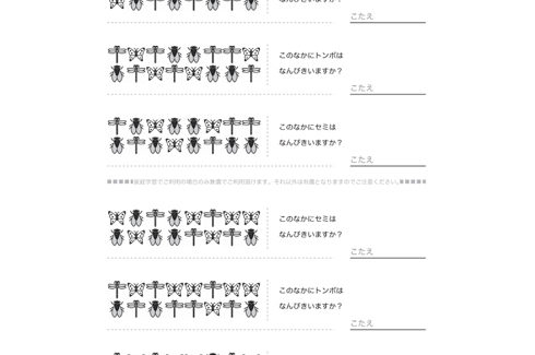イラストを使った問題で、視覚的な数的感覚を養います。問題や対象物を間違いなく読み取れるよう、基本的な学力を向上させます。
