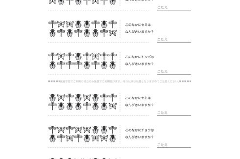 イラストを使った問題で、視覚的な数的感覚を養います。問題や対象物を間違いなく読み取れるよう、基本的な学力を向上させます。